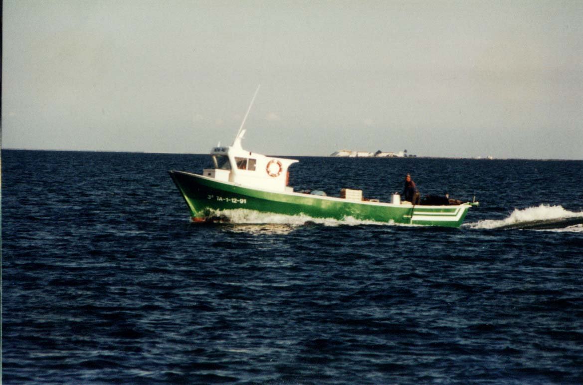 Imagen de Capitol 7 - 2000